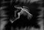 01_l_envol